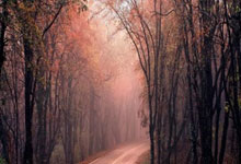 世界杯规则-球迷“打飞的”赴蓉，混团世界杯带火成都“赛事经济”