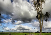 世界杯下注-直播吧诉懂球帝名誉侵权一审胜诉