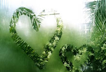 2026世界杯下注-周冠宇离开法拉利F1车队