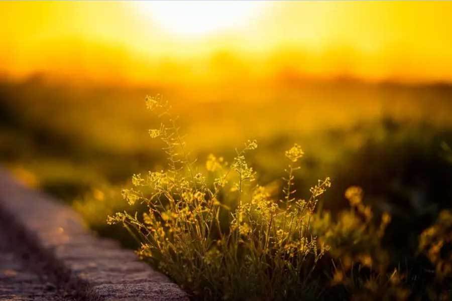 世界杯竞猜-中国乒乓球队世锦赛再夺男女单打冠军